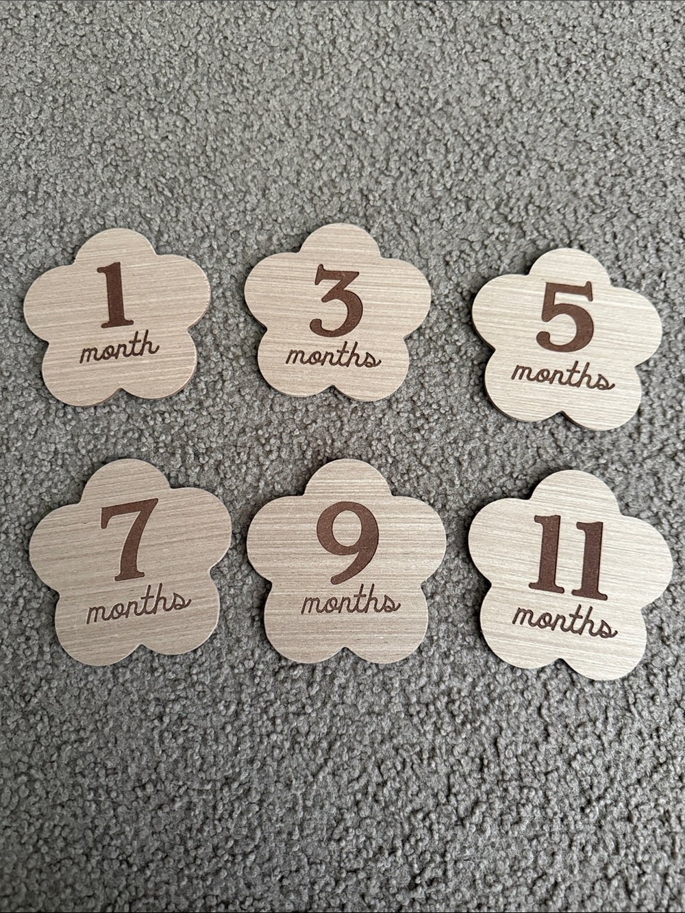 Wooden Monthly Milestone Discs